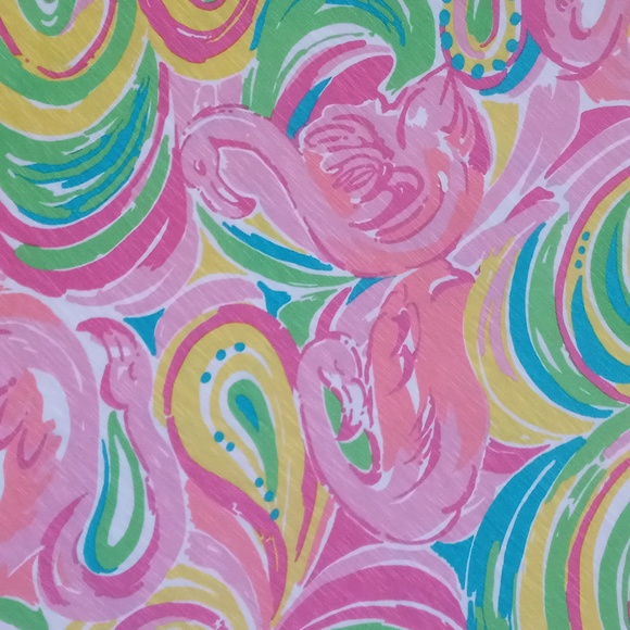 🦩VERY HTF Lilly Pulitzer🦩 - Marlisa Maxi Dress - Picture 4 of 16